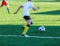 外贸企业外,汇培训助力,稳健成长,k1体育平台,k1体育官方网站,k1体育登录入口,k1体育app下载