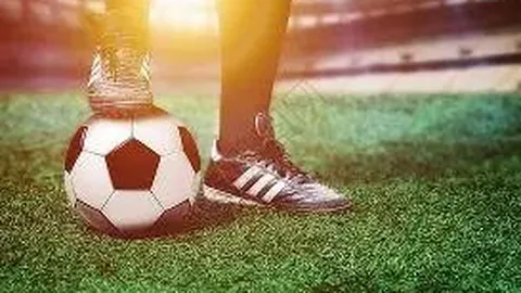 k1体育 产品 095404 jww