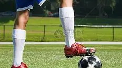 k1体育 资讯 095410 734