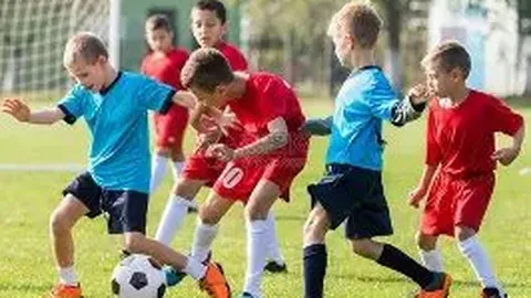 k1体育 产品 091046 3ly