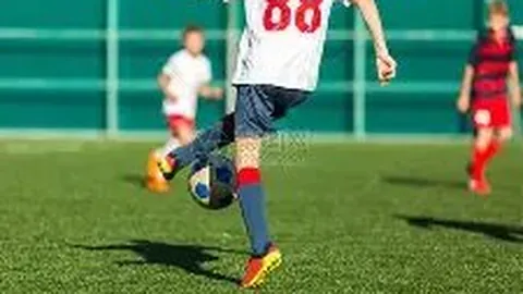 k1体育 产品 095122 41o