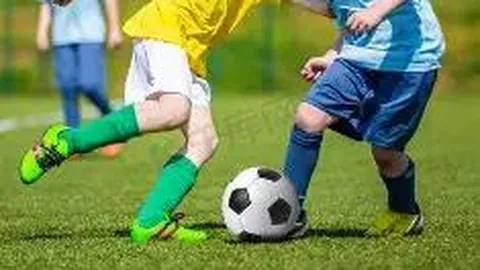 k1体育 产品 095156 nzw